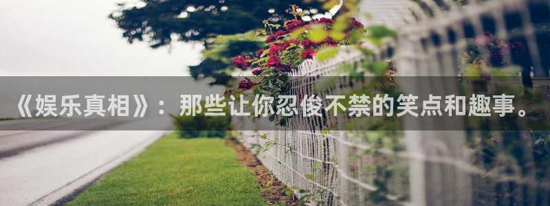 辉达平台娱乐：《娱乐真相》：那些让你忍俊不禁的笑点和趣事。