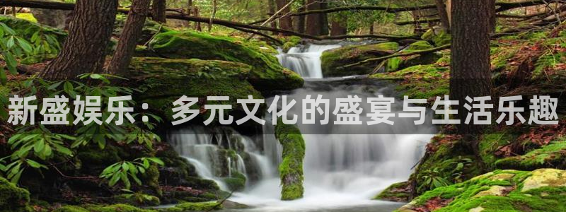 汇富娱乐地址：新盛娱乐：多元文化的盛宴与生活乐趣